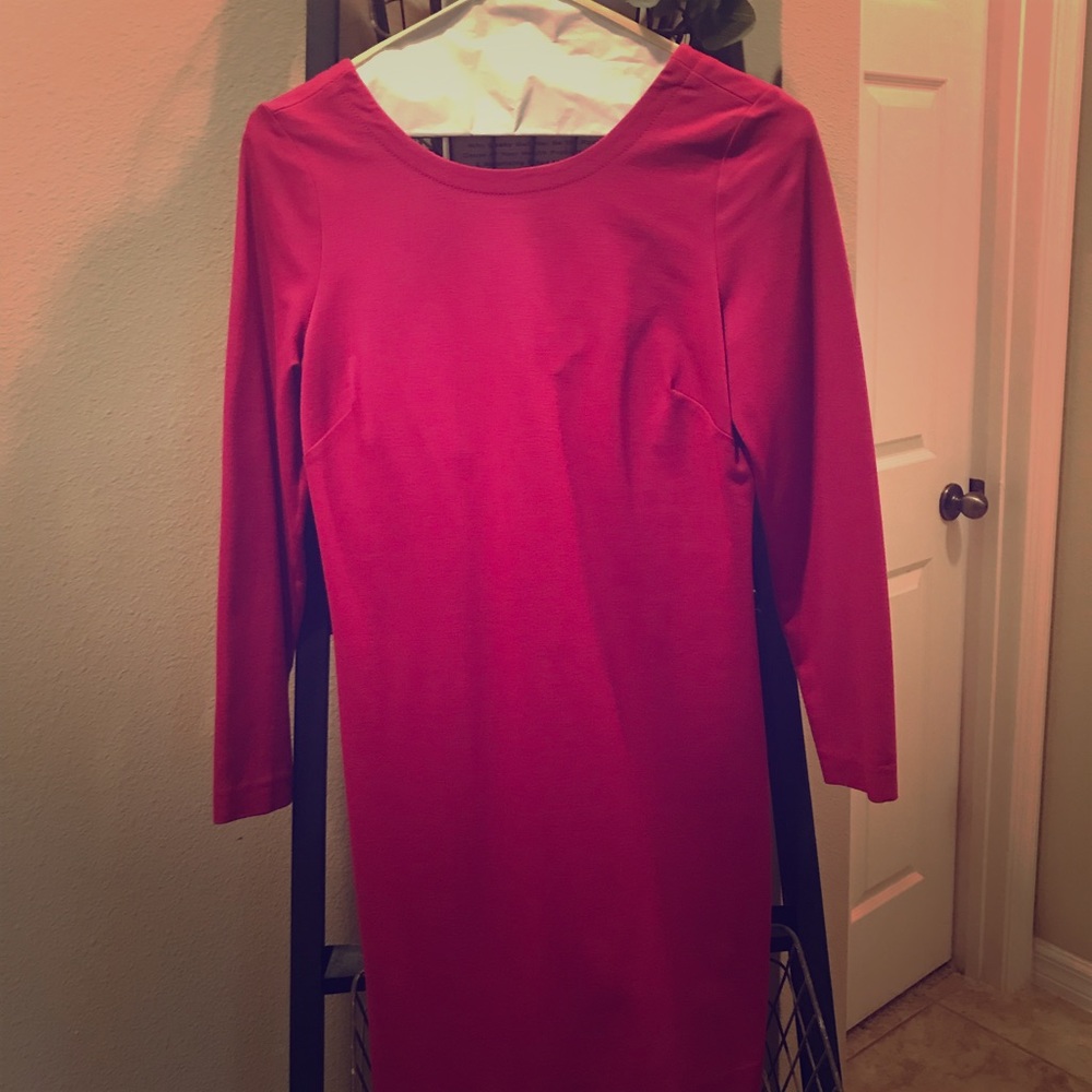 Pink NWOT Banana Republic Dress